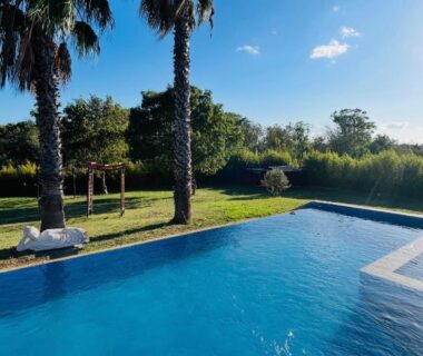 Piscine et palmiers dans le jardin au Mini chalet cozy esprit zen & insolite