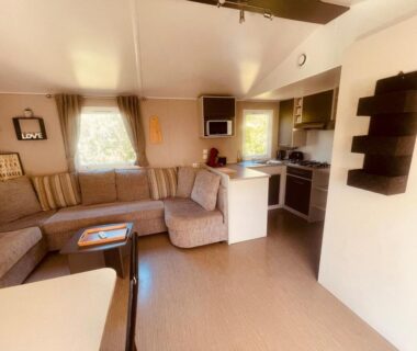 Salon avec canapé et kitchenette dans le Mobi Home Palmiers 2