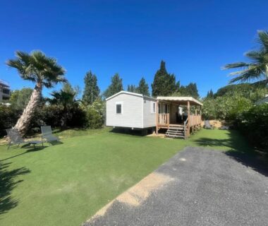 Pelouse avec mobil home et palmiers au Mobi Home Palmiers 2