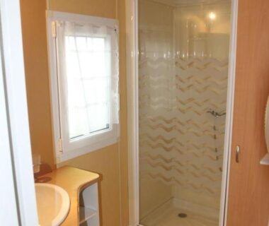 Salle d'eau avec cabine de douche et lavabo du Mobil Home 14