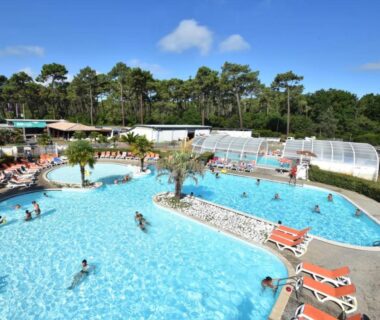Piscine extérieure avec transats et palmiers au Mobil-Home