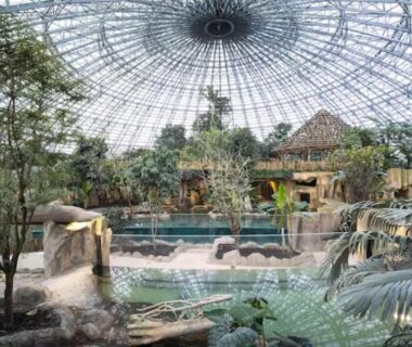 Piscine intérieure tropicale sous verrière au Mobil-Home 4 étoiles avec piscine proche de Blois
