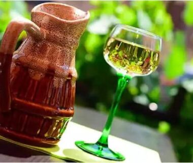 Terrasse avec carafe et verre de vin dans Mobil Home 5pers proche EUROPA PARK dans Camping 3étoiles