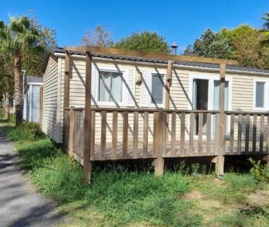 Terrasse en bois avec palmiers et façade du Mobil Home AGDE