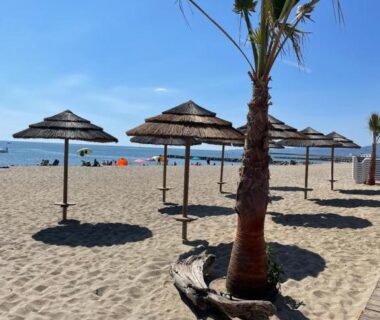 Plage de sable avec parasols et palmier au Mobil Home Camping ARGELÈS SUR MER