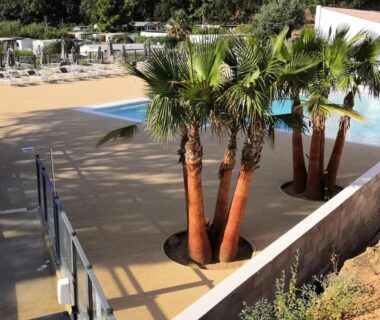 Piscine extérieure et palmiers sur le solarium au Mobil Home Golf de Saint Tropez