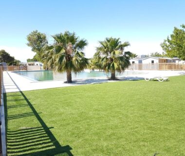 Espace piscine et pelouse avec palmiers au Mobil-Home Port-la-Nouvelle