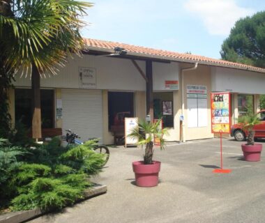Entrée du camping avec plantes en pot et voiture du Mobil-Home The Duck