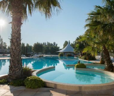Piscine et palmiers au bord du Mobil Home Vias plage La Carabasse