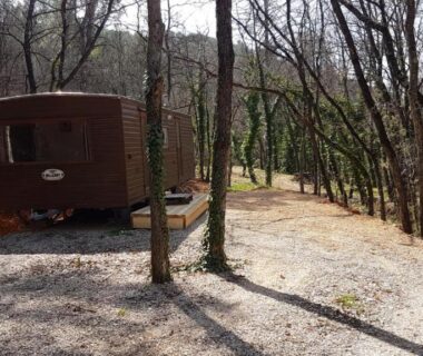 Sous-bois avec mobil home en bois au Mobil Home à la ferme