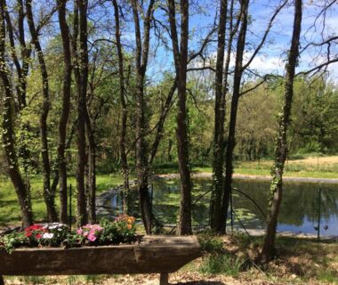 Au bord de l'étang avec fleurs et arbres du Mobil Home à la ferme