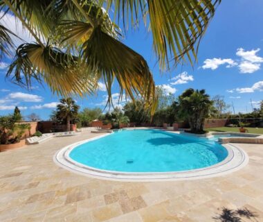 Piscine circulaire et terrasse sous palmiers au Mobil Home camping l'escale
