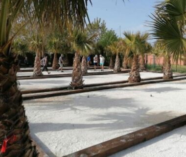 Aires de pétanque ombragées entre palmiers au Mobil Home camping l'escale