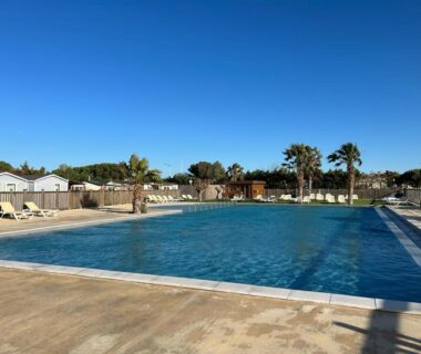 Piscine extérieure avec transats et palmiers au camping du Mobil Home de Marine