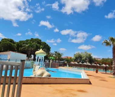 Piscine extérieure avec toboggan et palmiers au Mobil Home récent Camping La Palmeraie