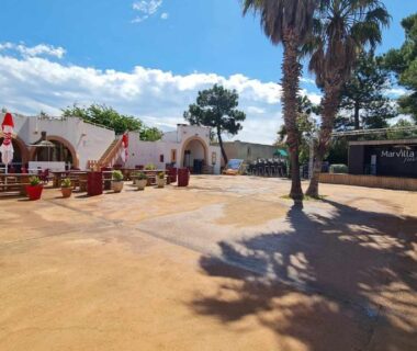 Cour centrale avec palmiers et terrasse au Camping La Palmeraie