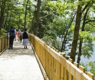 Passerelle en bois au bord du lac avec promeneurs dans le camping Mobil-home 35m² avec Terrasse Saint-Gérons API-1-52-1314