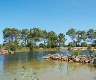 Bord du lac avec pins et rochers au Mobil-home 4 pers avec terrasse Lac & Océan à Hourtin