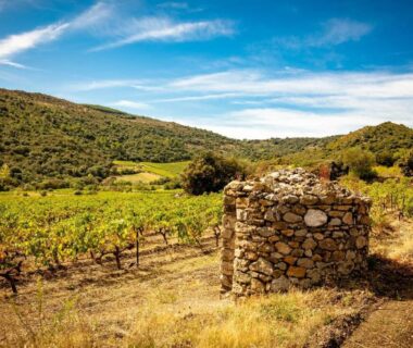 Vignoble et puits en pierre sous ciel bleu dans l'Hérault au Mobil-home 4 personnes