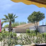 Vue depuis terrasse sur mobil-homes et palmiers au Mobil-home 4 personnes clim du camping Marisol