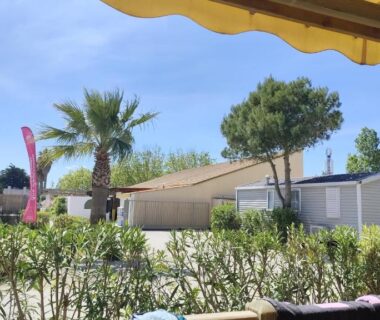 Vue depuis terrasse sur mobil-homes et palmiers au Mobil-home 4 personnes clim du camping Marisol