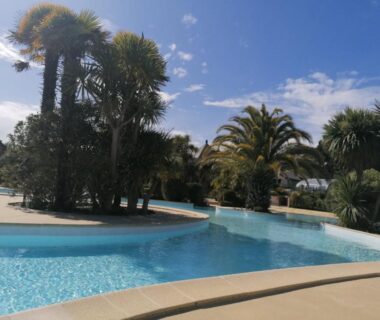 Piscine extérieure bordée de palmiers au Mobil home 4 personnes dans campings 4 et 5 étoiles Carnac