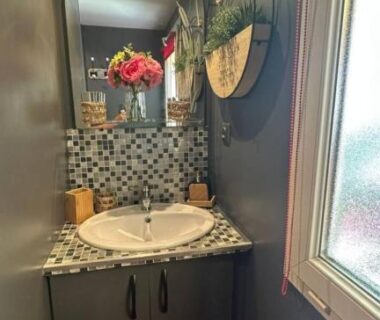 Salle d'eau avec vasque miroir plantes et fenêtre dans le Mobil-home 5 personnes à louer