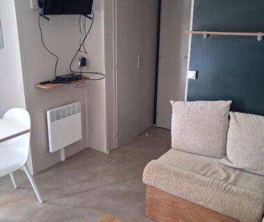 Intérieur salon avec canapé et télévision dans le mobil home 590