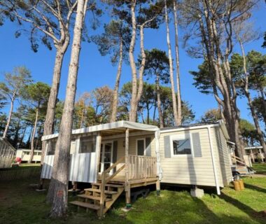 Sous les pins avec terrasse et pelouse du Mobil home 6 à 8 personnes