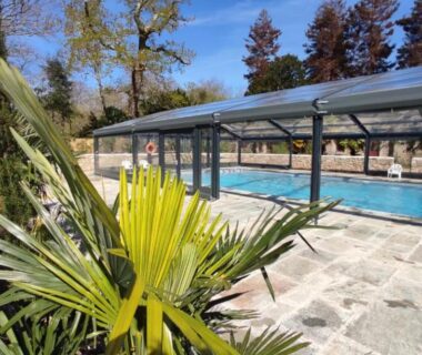 Terrasse au bord de la piscine avec palmiers du Mobil-home 6 pers Terrasse couverte Calme