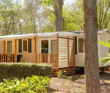 Mobil-home 6 pers, tout confort Clim, piscine & animations