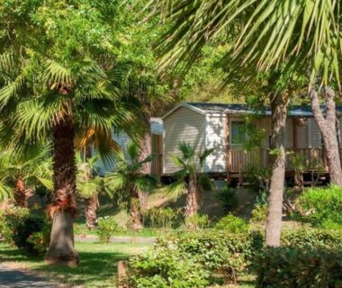 Allée ombragée bordée de palmiers et mobil-homes au Mobil-home 6 personnes tout confort Clim piscine et animations