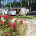 Allée dans la pinède avec fleurs devant le mobil home 6 personnes Mer et Pins