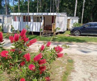 Allée dans la pinède avec fleurs devant le mobil home 6 personnes Mer et Pins