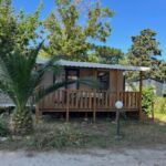 Terrasse en bois et palmier devant le Mobil home 6 personnes à 400m de la mer