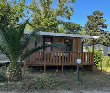 Terrasse en bois et palmier devant le Mobil home 6 personnes à 400m de la mer