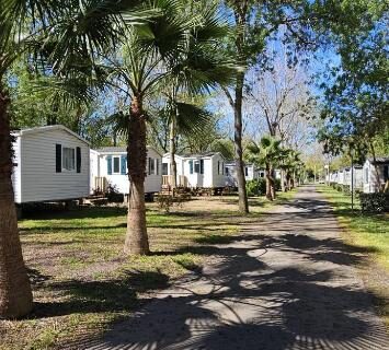 Allée ombragée bordée de palmiers et mobil homes au mobil home 6 personnes confort Océan climatisé camping avec piscine Agde