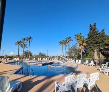 Piscine avec transats et palmiers au Mobil-home Camping La Marine B038