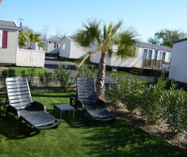 Pelouse avec deux transats et palmier au mobil home MH-A004 Camping LA CARABASSE 4 étoiles