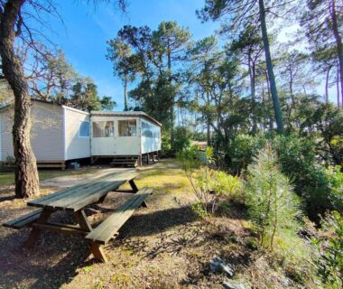 Mobil-home dans les pins avec terrasse et table de pique-nique au Camping LES OYATS MH-A017