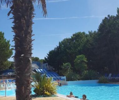 Bord de piscine avec palmier et toboggan au Mobil-home Confort camping le bois Masson
