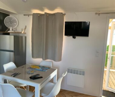 Séjour avec table chaises et télévision du Mobil-home Dan Dom