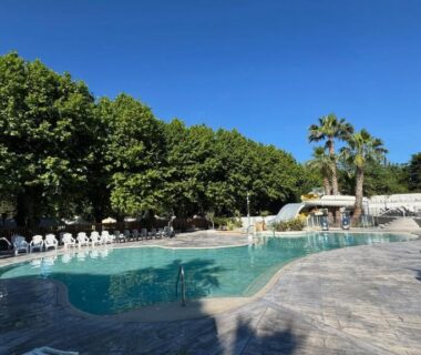 Piscine extérieure du camping avec transats et palmiers au Mobil-home Le Manosely confort 6 pers Climatisé-Plages à proximité