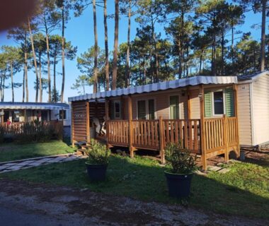 Terrasse en bois et allée sous pins au Mobil-home Mick et Stefie