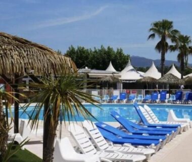 Bord de piscine avec transats et palmiers au Mobil-home Paradis Bleu