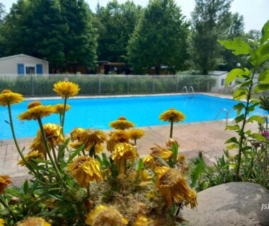Piscine bordée de fleurs au Mobil-home Riviera