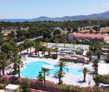 Piscine extérieure entourée de palmiers avec transats au Mobil-home SUNSEA du Camping DEL MAR