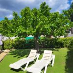 Jardin avec deux transats sous un arbre du Mobil-home à Lattes