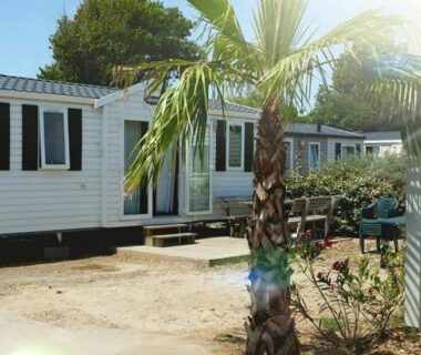Allée du camping avec palmiers devant Mobil home au Castellas Marseillan
