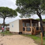 Terrasse sous pins du mobil-home au camping la Marine 4 étoiles le Grau du Roi